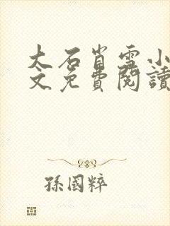 大石肖雪小说全文免费阅读