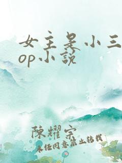 女主是小三的pop小说