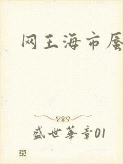 网王海市蜃楼