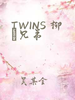 TWINS 柳澤兄弟