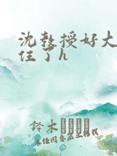 沈教授好大含不住了h