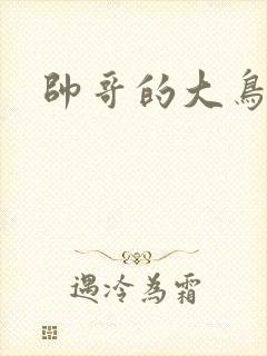 帅哥的大鸟