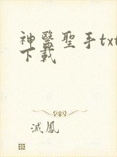 神医圣手txt下载