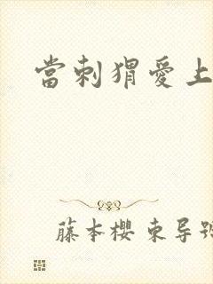 当刺猬爱上玫瑰