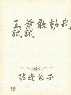 王爷敢动我妈咪试试