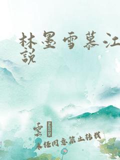 林墨雪慕江行小说
