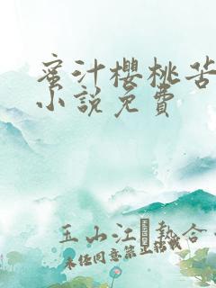 蜜汁樱桃苦咖啡小说免费