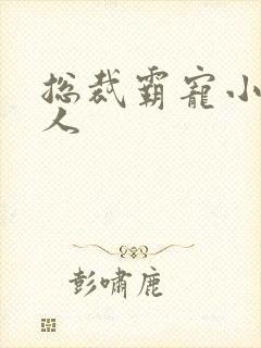 总裁霸宠小小女人