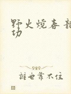野火烧春 龙鸣功