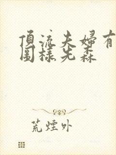 顶流夫妇有点甜图样先森