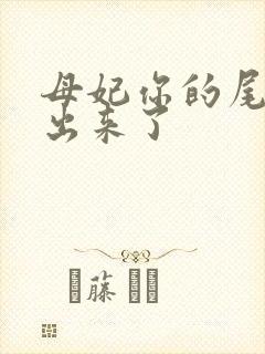 母妃你的尾巴露出来了