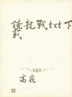 镜龙战txt下载