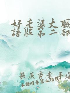 好老婆大联盟国语版第二部