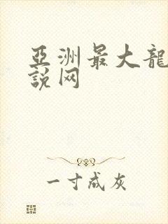 亚洲最大龙腾小说网