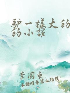 驴一样大的凶器的小说