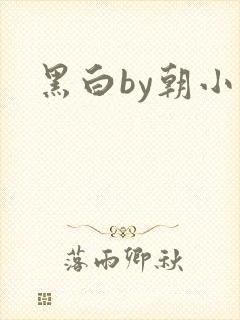 黑白by朝小诚