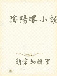 阴阳眼小说