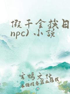 假千金挨日记(npc) 小说