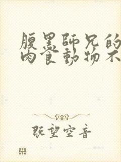 腹黑师兄的日常肉食动物不食草