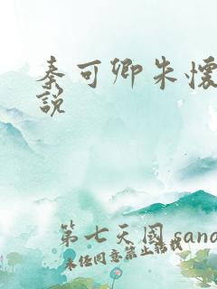 秦可卿朱怀镜小说