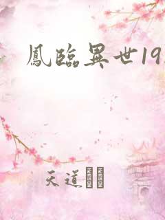 凤临异世19楼
