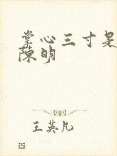 掌心三寸是人间陈明