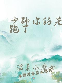 少帅你的老婆又跑了