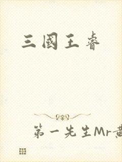 三国王睿