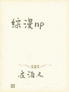 综漫np