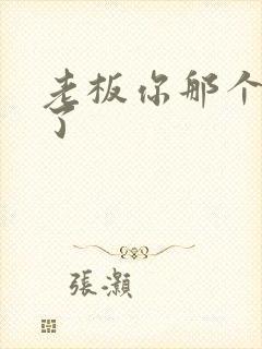 老板你那个太长了