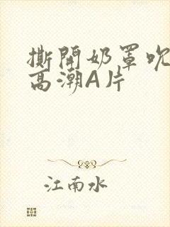 撕开奶罩吮奶头高潮A片