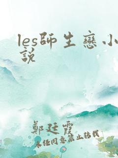 les师生恋小说