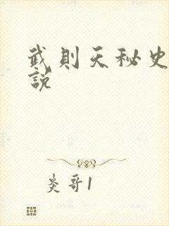 武则天秘史 小说