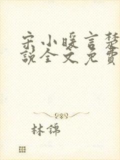 宋小暖言楚行小说全文免费阅读