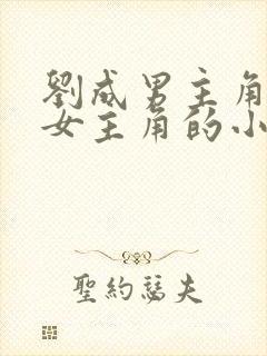 刘成男主角刘雪女主角的小说