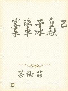 塞珠子自己排出来车冰秋