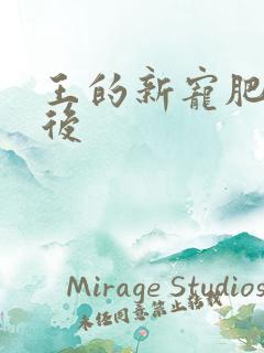 王的新宠肥婆皇后