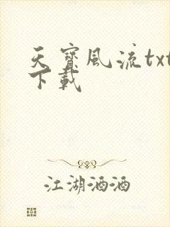 天宝风流txt下载
