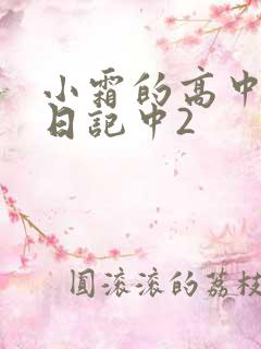 小霜的高中成长日记中2