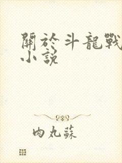 关于斗龙战士的小说