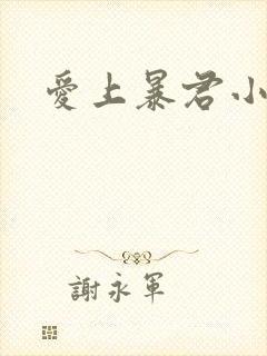 爱上暴君小甜心