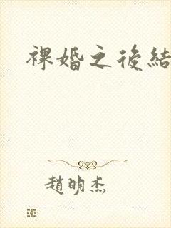 裸婚之后结局