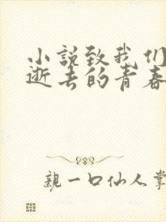 小说致我们终将逝去的青春