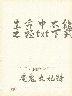 生命中不能承受之轻txt下载