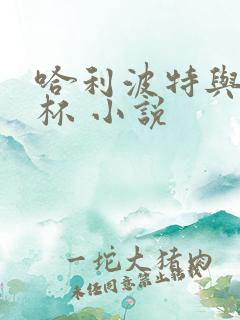 哈利波特与火焰杯 小说