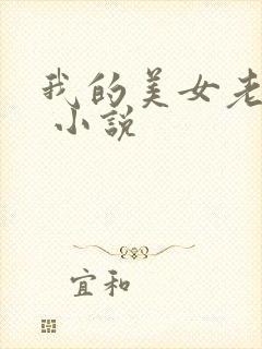 我的美女老婆们 小说