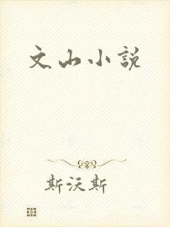文山小说