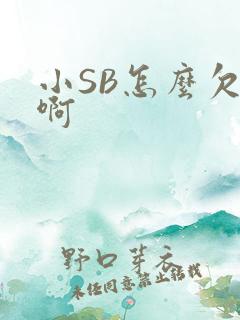 小SB怎么欠C啊
