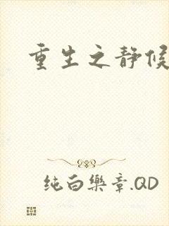 重生之静候锦年