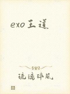 exo王道
